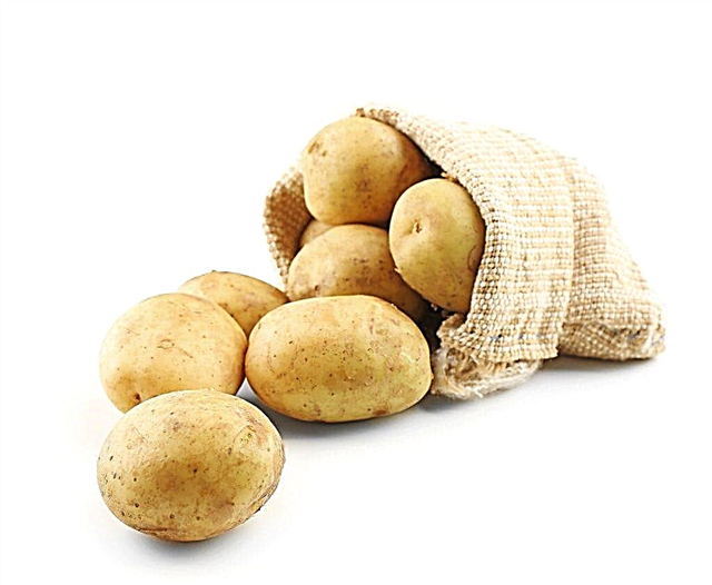 Obsah vitamínu v bramborách