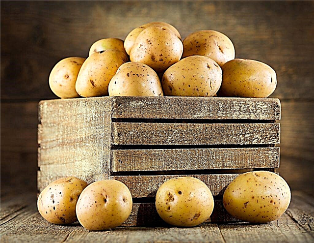 Regeln für die Herstellung einer Schachtel für Kartoffeln