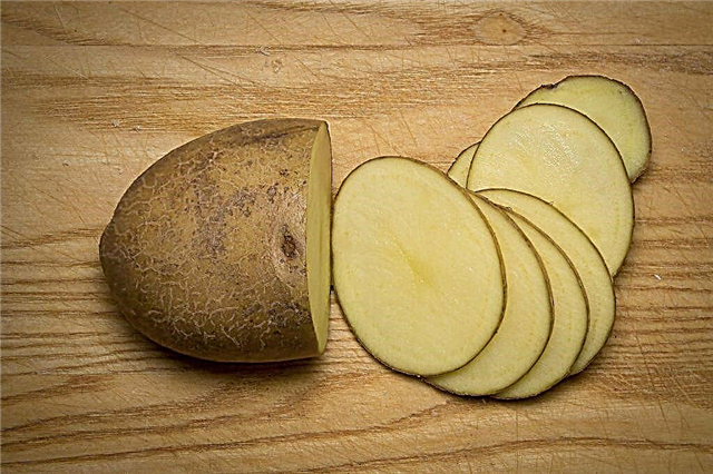 Propriétés utiles et nocives des pommes de terre crues