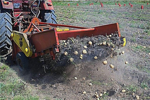 Jenis traktor untuk memproses kentang dan penggunaannya