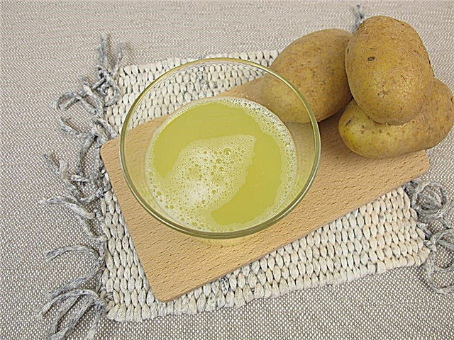 Useful and harmful properties of potato juice