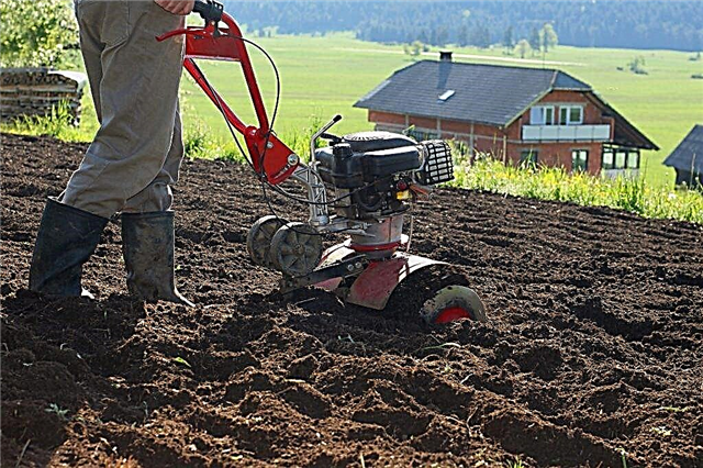 Usar un tractor de empuje para cultivar papas