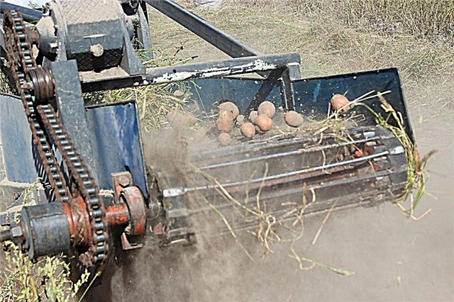 Varieties of conveyor potato digger for walk-behind tractor
