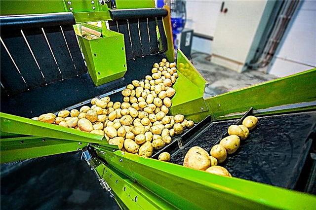 Kartoffelpflanzgefäße für den Neva-Traktor