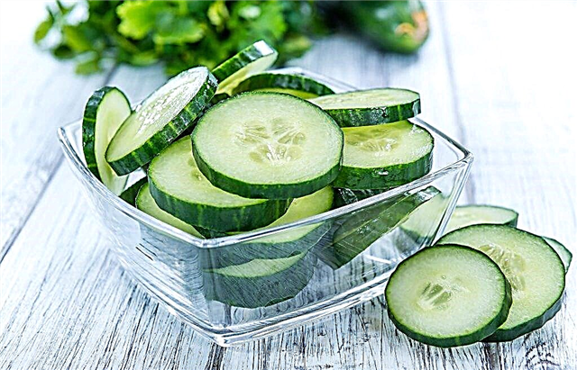Welke vitamines zijn rijk aan komkommers