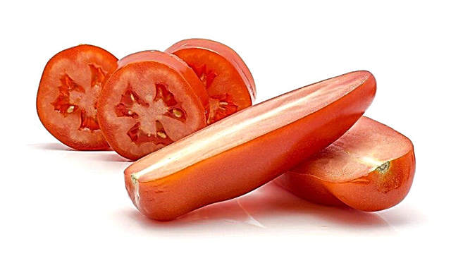 Beskrivning av tomat Chibis