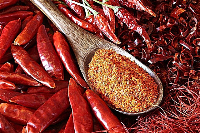 Chili Pepper-eigenschappen