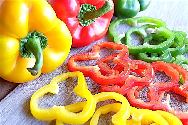 Characteristics of bell peppers