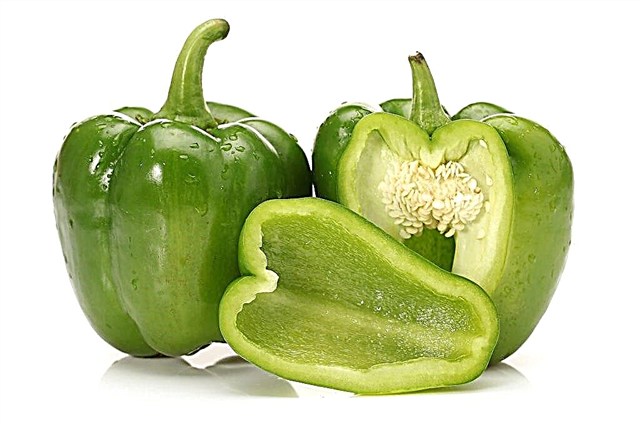 Characteristics of green pepper