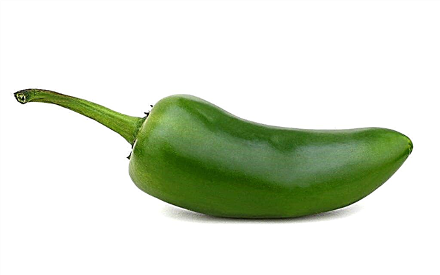 Description of Antey pepper