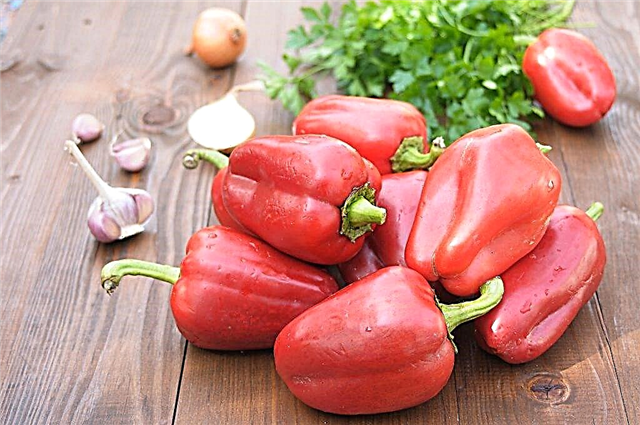 The best varieties of bell peppers for open ground