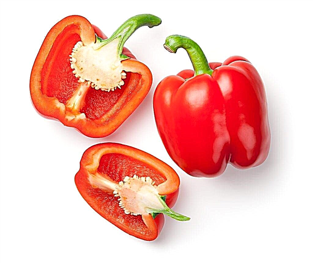 Characteristics of the Kubyshka pepper variety