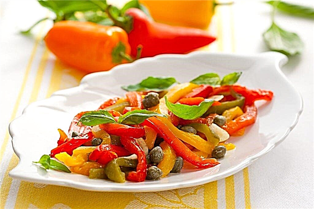 The best varieties of salad peppers for the Urals