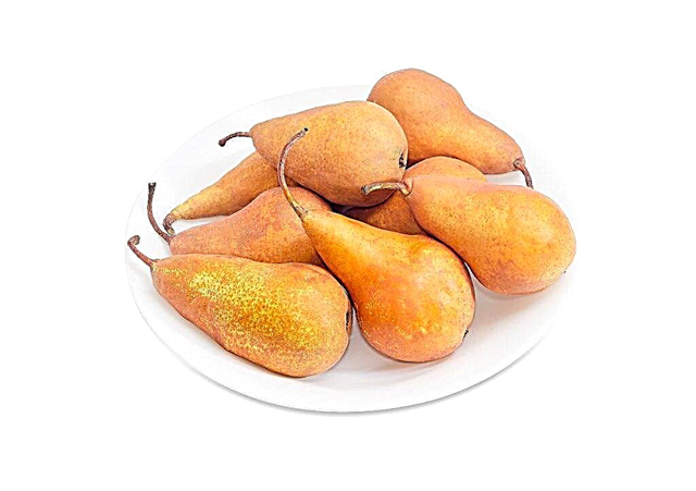 Characteristics of Bere pears