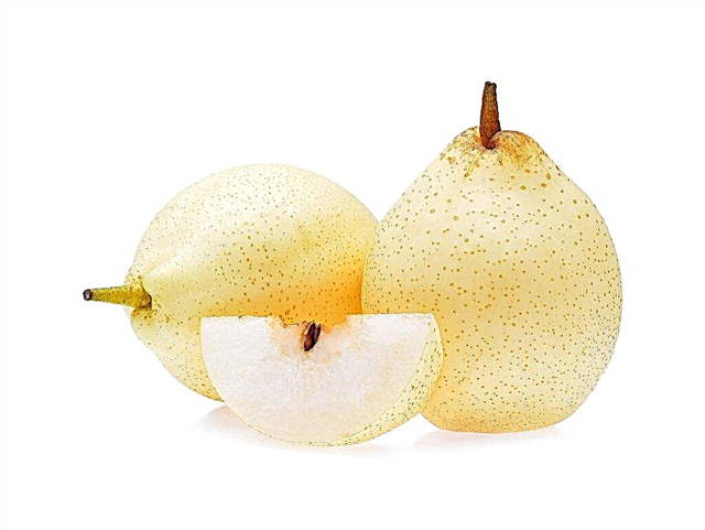 Properties of the Chinese pear