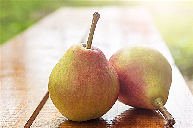 The benefits and harms of pears