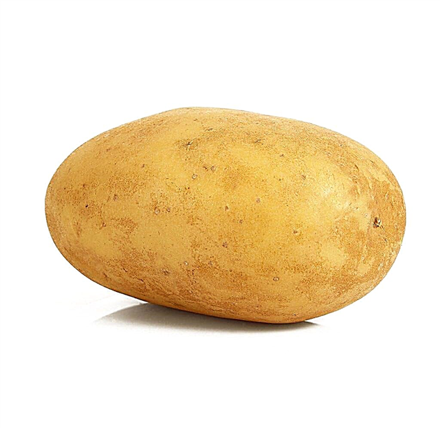 Descrição de batatas Lad