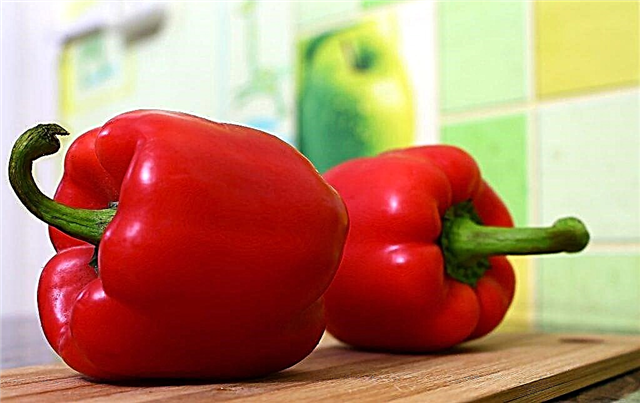 The best varieties of salad bell peppers