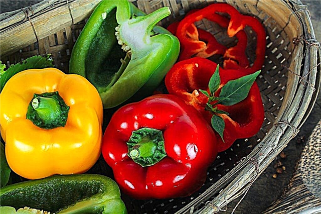 Calorie content of various types of pepper