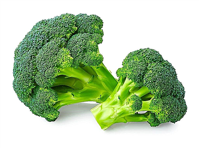 Beneficiile și prejudiciile broccoli