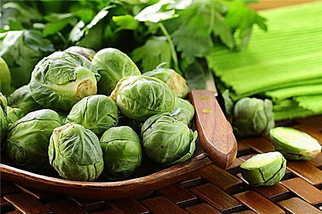 The benefits and harms of Brussels sprouts