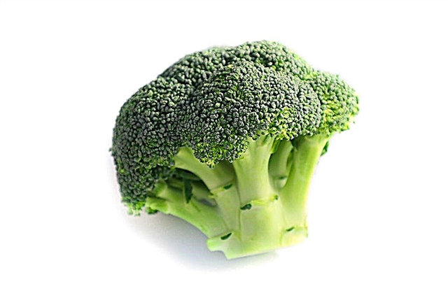 Descrizione del cavolo broccoli Tonus