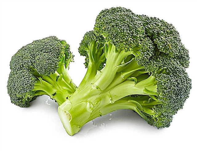 Benefícios para a saúde de brócolis