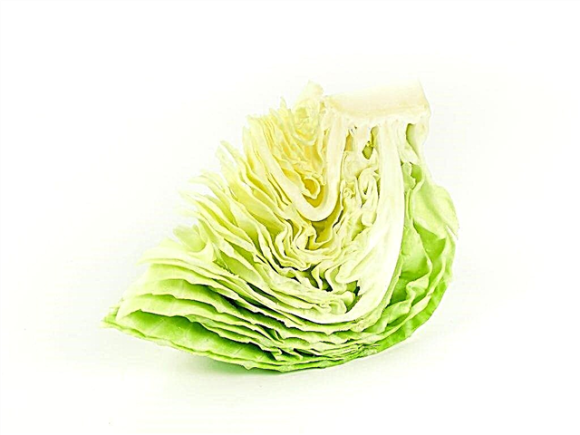 The benefits and harms of cabbage