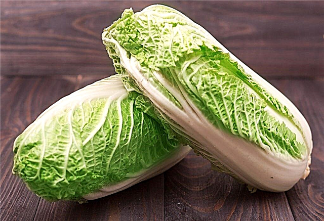 Dietary properties of Chinese cabbage