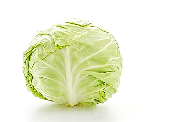 Ways to store cabbage for the winter