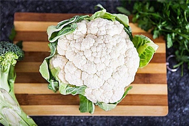 Cauliflower variety Dachnitsa