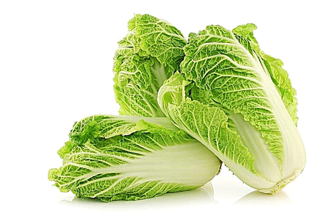 The benefits and harms of Chinese cabbage