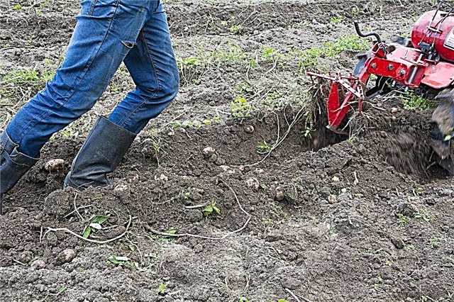 Types of potato digger for walk-behind tractor