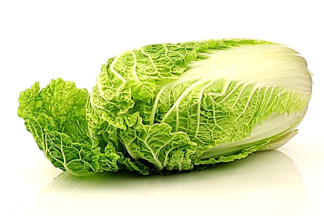 Chinese cabbage growing rules
