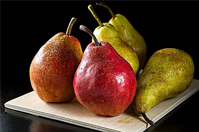 Opis Pear Decor