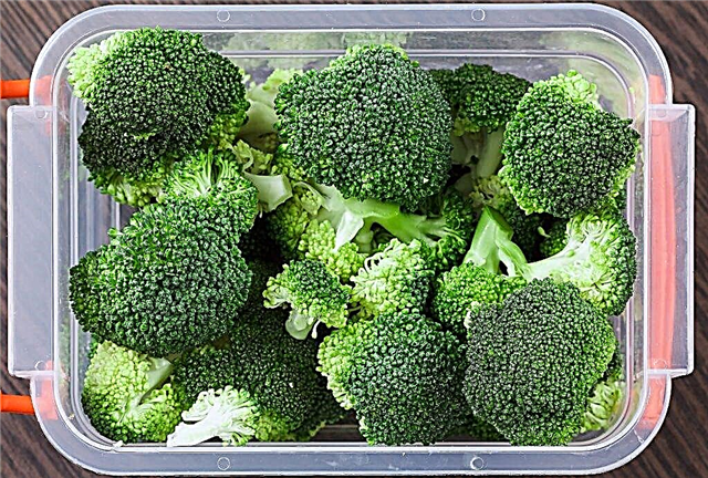 Zmrazující brokolice