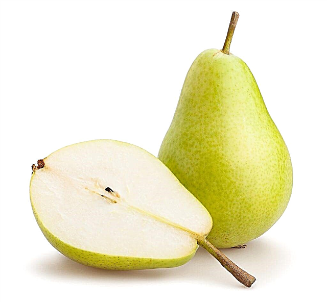 Description of pear Tenderness