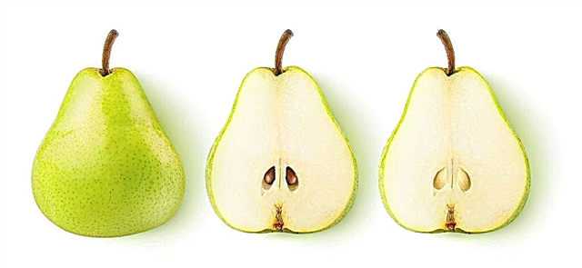 Description of Annushka pear