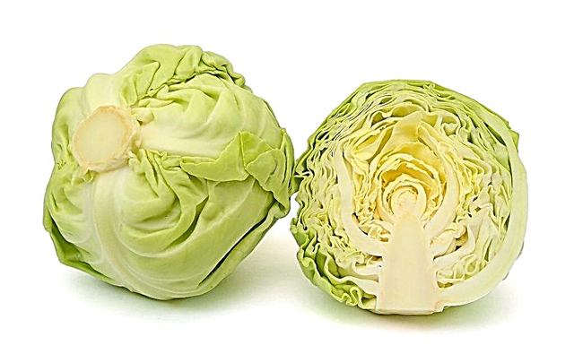 Vitamins in cabbage