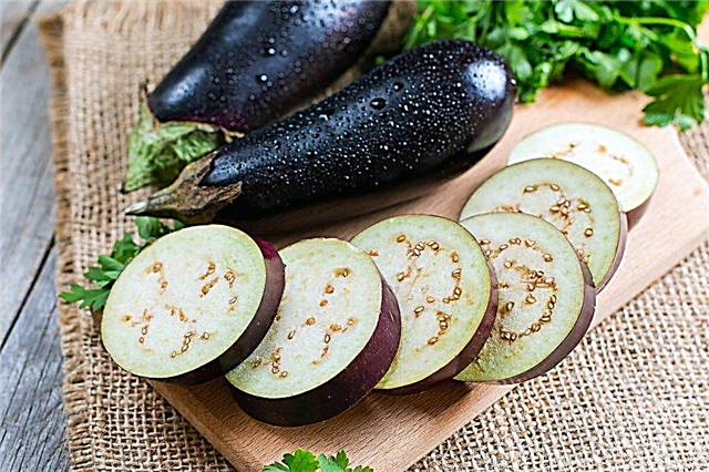 Is it possible for a nursing mother to eggplant