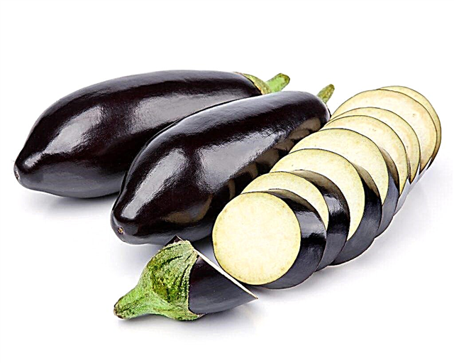 Nyttige og skadelige egenskaber ved aubergine for helbredet