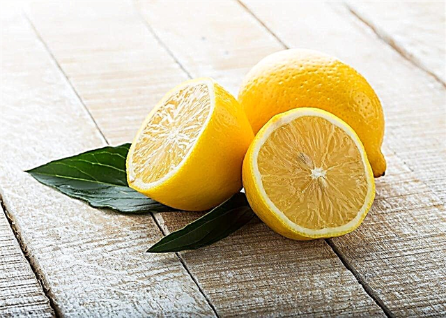 How lemon affects blood pressure