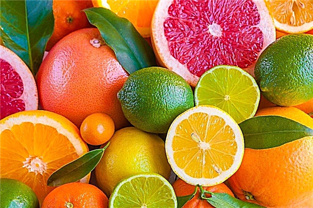 The main types of citrus