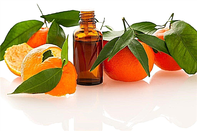 Propiedades y usos del aceite esencial de mandarina.