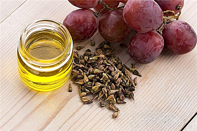 Properties of grape seed extract