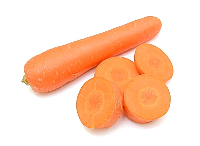Dordogne f1 híbrido de zanahoria