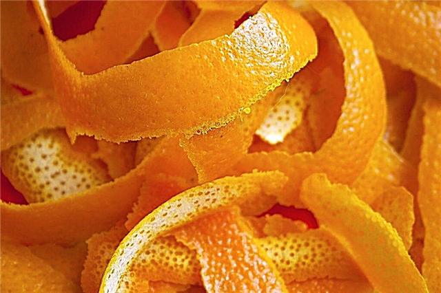 كيفية وضع قشور البرتقال في الحديقة
