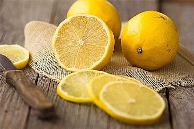 Cure au citron