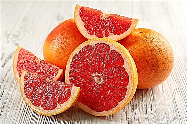 Grapefruit pro hubnutí