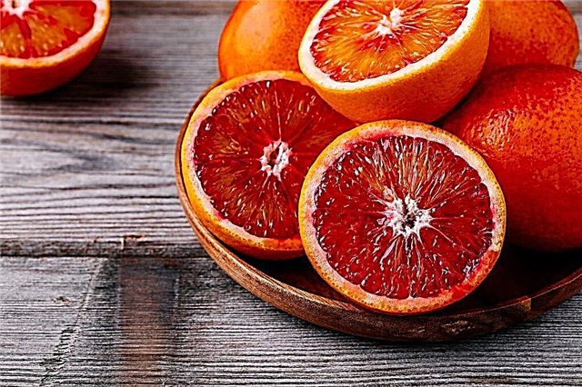 Care sunt soiurile de portocal roșu